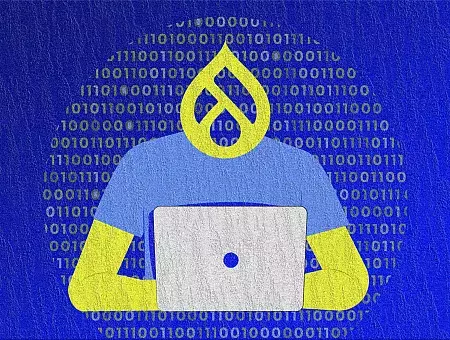why hire a drupal developer