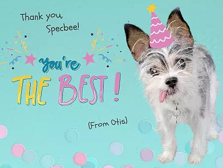 a greeting card from Otis the dog at Grey Muzzle .org