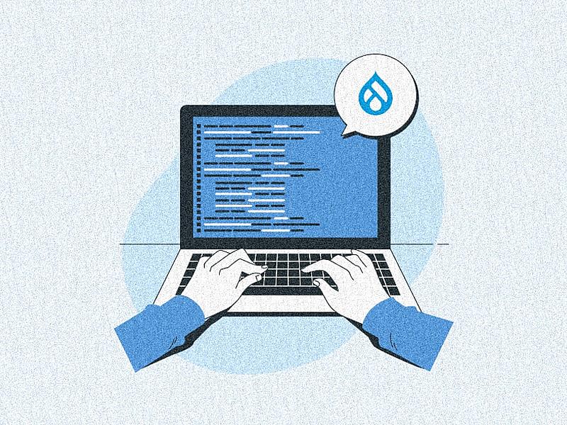 Your Guide to the World of Drupal Developer Roles