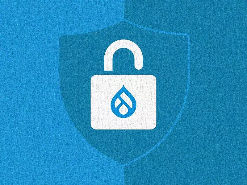 most installed drupal security modules
